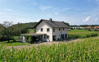 Einfamilienhaus in Golaten Vollansicht mit der Drohne über einem Maisfeld mit Sicht auf das freistehende Einfamilienhaus im Seeland in Golaten.